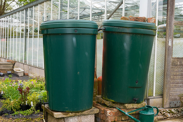 greenhouse growing year round winter