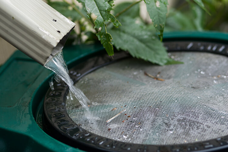 greenhouse growing year round winter