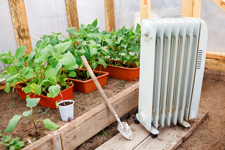 greenhouse growing year round winter