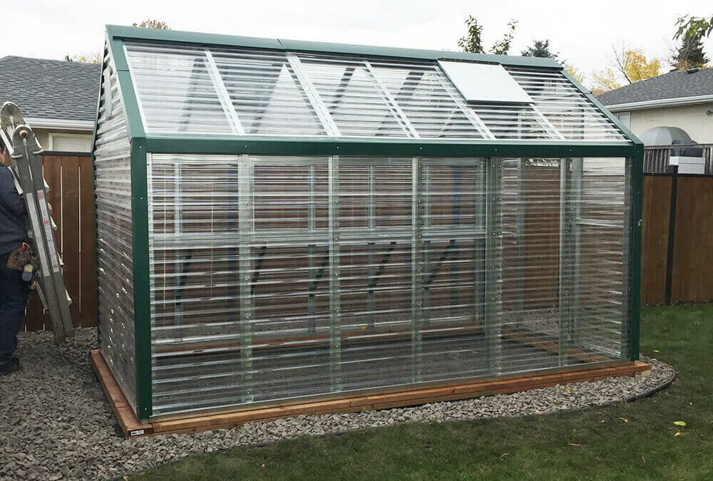 How to Set up Your Hobby Greenhouse