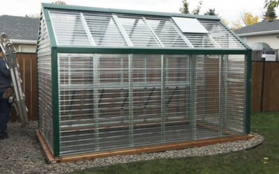 How to Set Up your Hobby Greenhouse