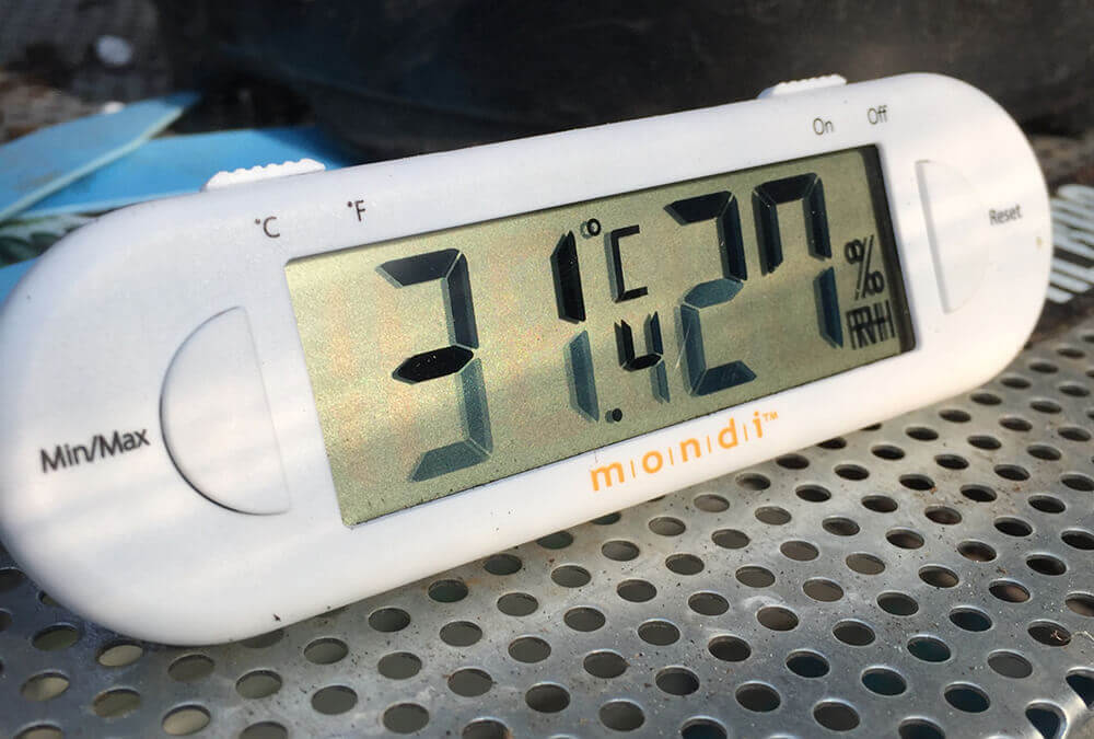 digital thermometer reading inside greenhouse