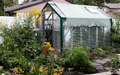 Getting Your Greenhouse Ready for Summer Vacation