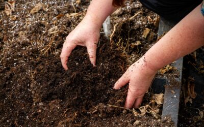 Amending Soil: Put Down The Peat Moss